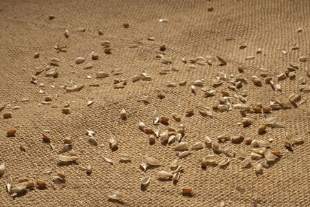 background with grainの写真素材