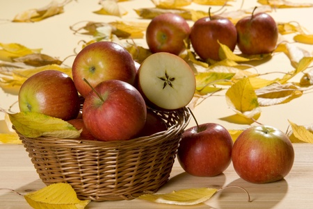 still life with applesの写真素材