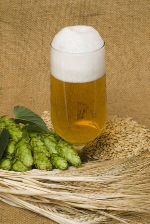 beerの写真素材