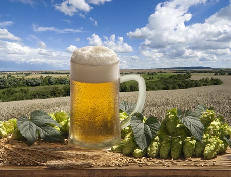 beer の写真素材