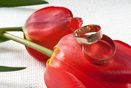 wedding ringsの写真素材