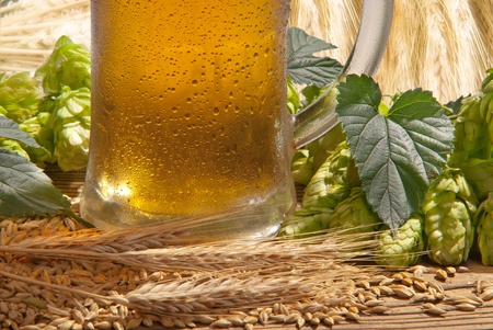 beerの写真素材