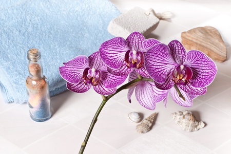 orchid in the bathroomの写真素材