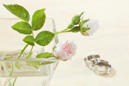 wedding ringsの写真素材
