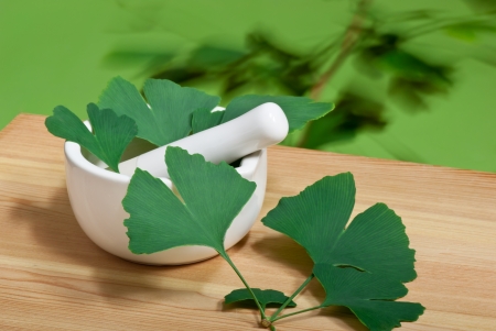 ginkgo bilobaの写真素材