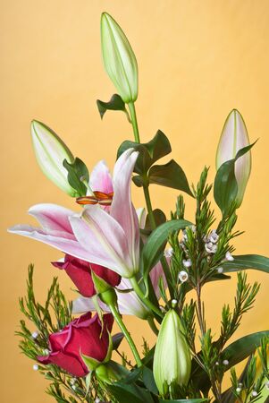 bouquetの写真素材
