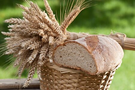 breadの写真素材