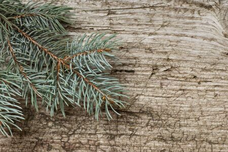 christmas backgroundの写真素材