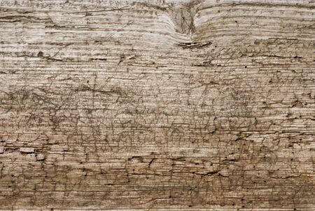 backgroundの写真素材