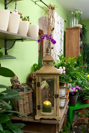 in the florist shopの写真素材