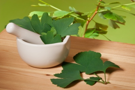 ginkgoの写真素材
