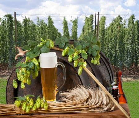 beerの写真素材