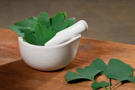 ginkgoの写真素材