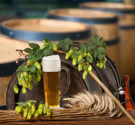 beer and hop conesの写真素材