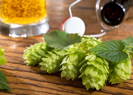 hops and bottleの写真素材