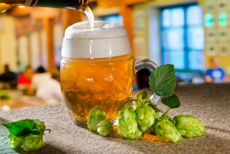 beer glass and hopsの写真素材