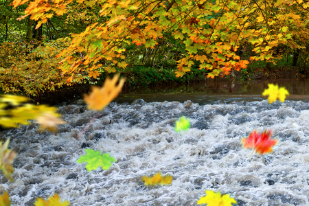 autumn landscape の写真素材