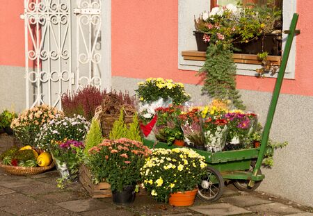  florist shopの写真素材