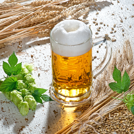 beer glassの写真素材