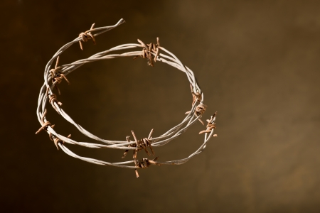 crown of thorns の写真素材