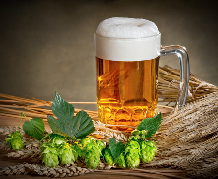  beer glass and hopsの写真素材