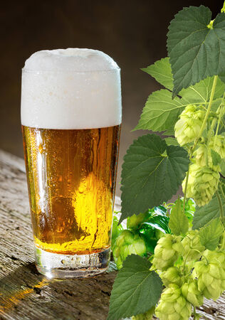 glass of beer の写真素材