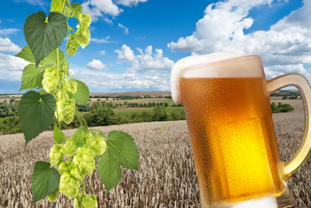 beerの写真素材