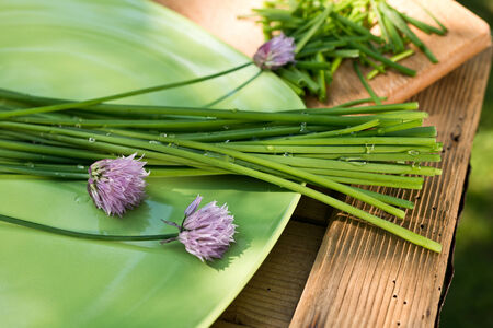 detail of chives on the green plateの写真素材