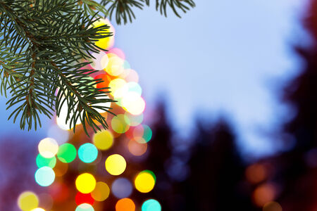 christmas background の写真素材