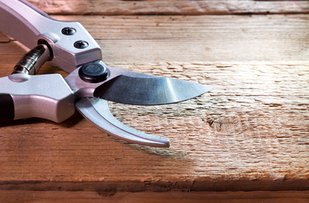 new  shears on the wooden tableの写真素材