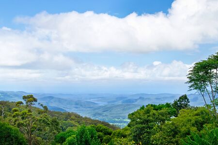 landscape in  Numinbah Valley in Australiaの写真素材