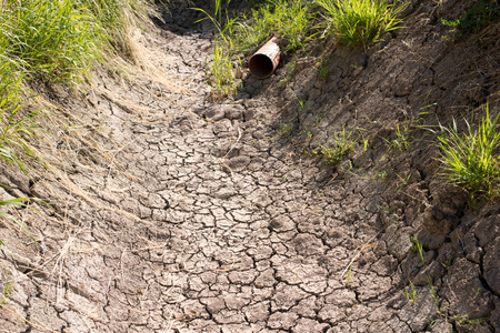 dry creek bed in the hot summerの写真素材