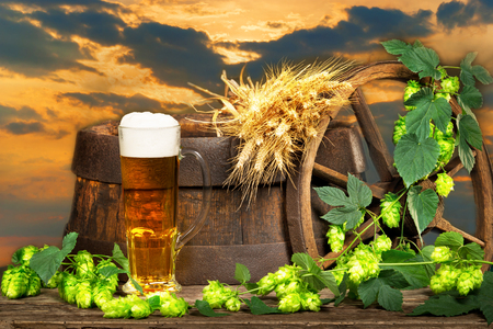 Mysterious still life with glass of beer and raw material for beer productionの写真素材