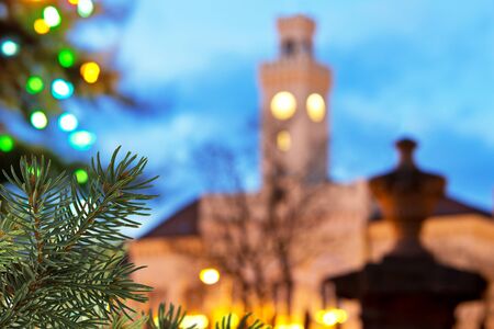 Christmas tree and castle in the nightの写真素材