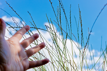 detail of hand reach out for grass,shallow depth of fieldの写真素材