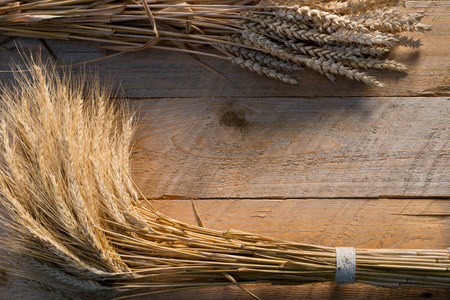 barley and wheat on the old wooden tableの写真素材