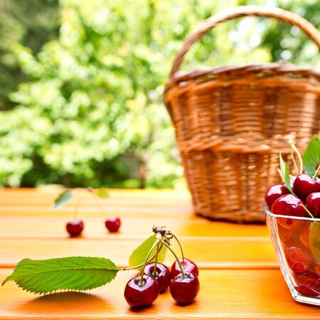 red cherry and hand basket in the gardenの写真素材
