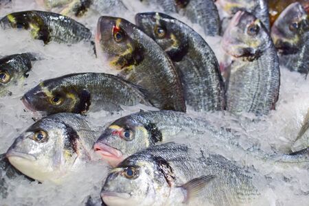 chilled fishes with ice in the marketの写真素材