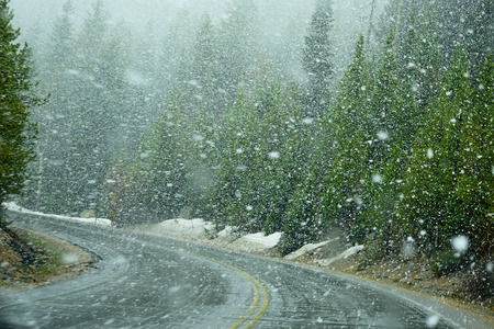 Early spring in Rocky Mountains, Coloradu,USAの写真素材