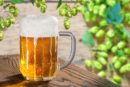 beer glass on the wooden table with hop conesの写真素材