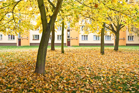 Block of flats in the park in tha autumnの写真素材