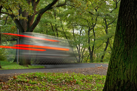 Fast going car in the park with trunk of treeの写真素材