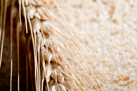 Detail Of Wheat On The Slice Of Breadの写真素材