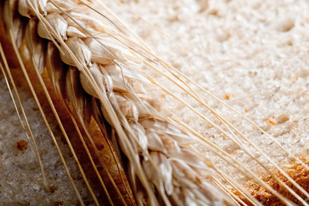 Detail Of Wheat On The Slice Of Breadの写真素材