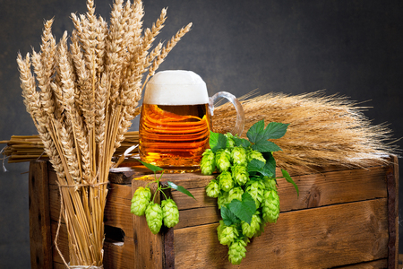 glass of beer and raw material for beer productionの写真素材