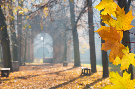 Autumn Colonade with Gateway in the Cemeteryの写真素材