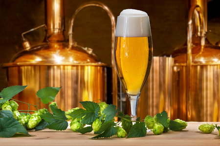 Beer glass with hops and barley in the breweryの写真素材