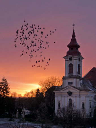 Flock of Pigeons Flaying  around The Church in front of Sunrise.の写真素材