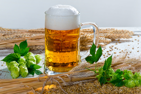 Beer Glass and Raw Material for Beer Productionの写真素材