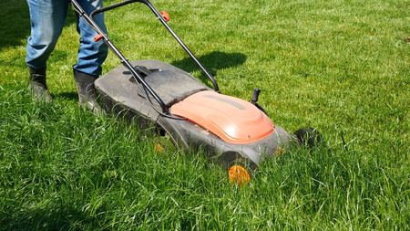 Man is mowing the grass in the garden.の写真素材